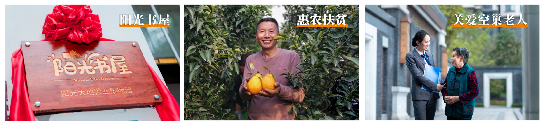 阳光物业践行社会责任.jpg